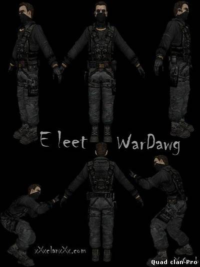 Скин для L33T -E Leet Wardawg